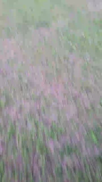 Geil32hb  01-08-2021 Recorded Video Topless